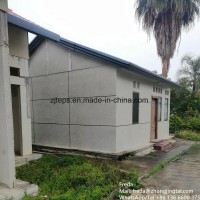 Factory Price Styrofoam Sandwich Wall Panels for Prefab Houses